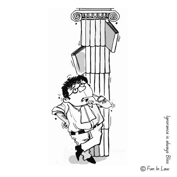 Fun in Law Illustrated Coaster