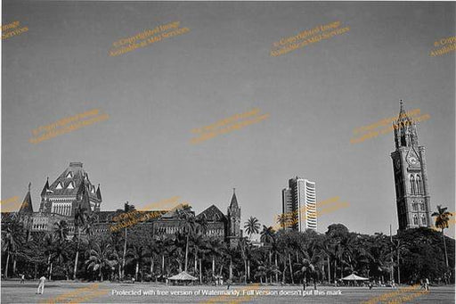 Bombay High Court - Judiciary,Business,Education - Unframed Picture